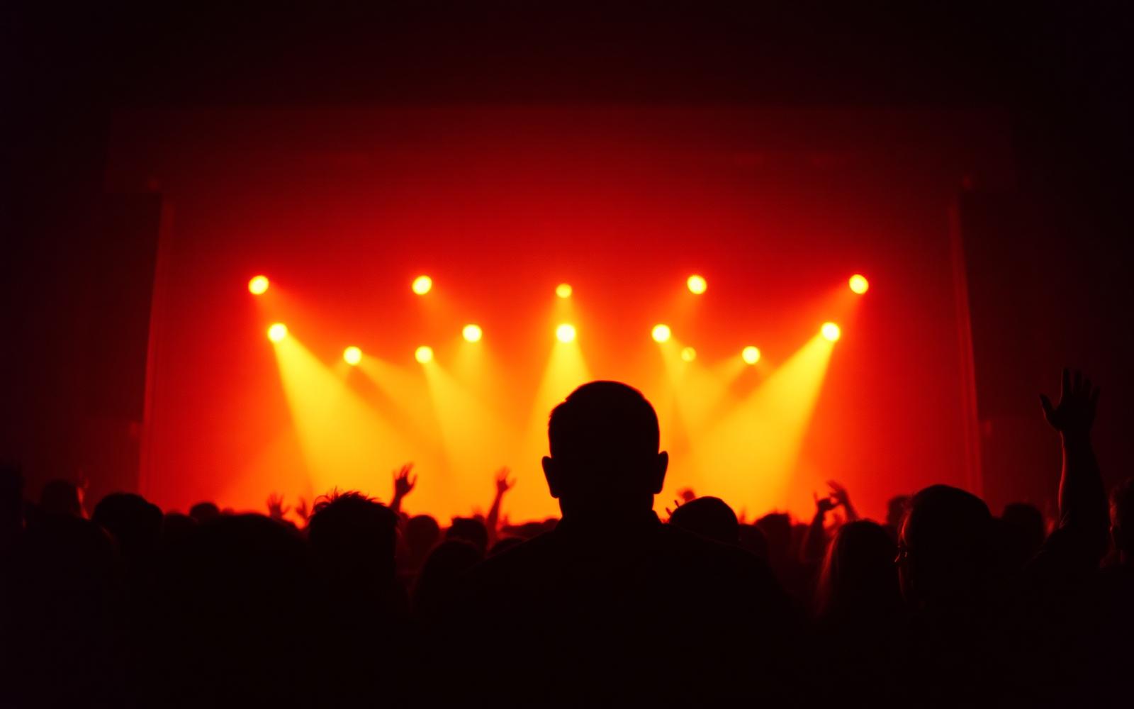 Crowd silhouettes under warm concert lighting
